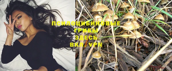 марки lsd Нефтегорск