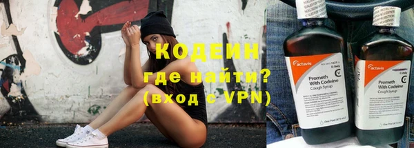 прущий лед Бикин